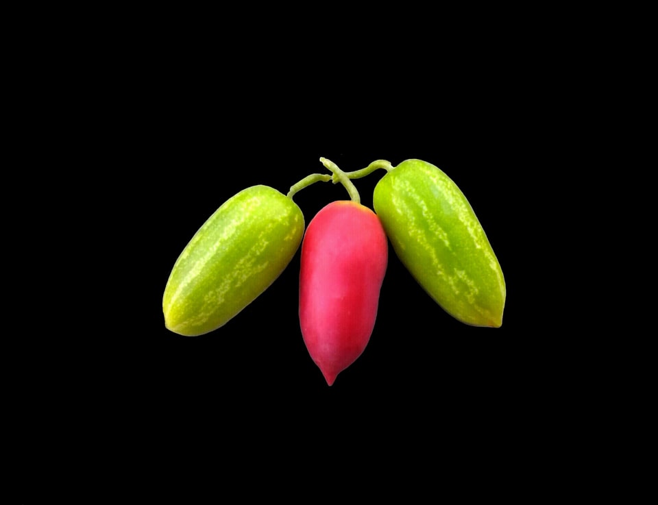 Vegetable food healthy