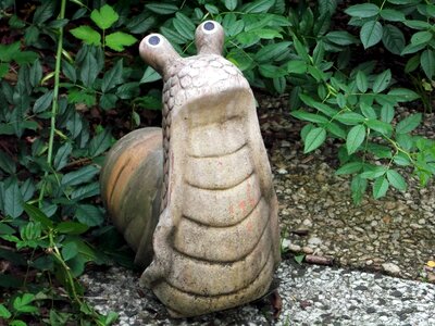 Snail florencia garden