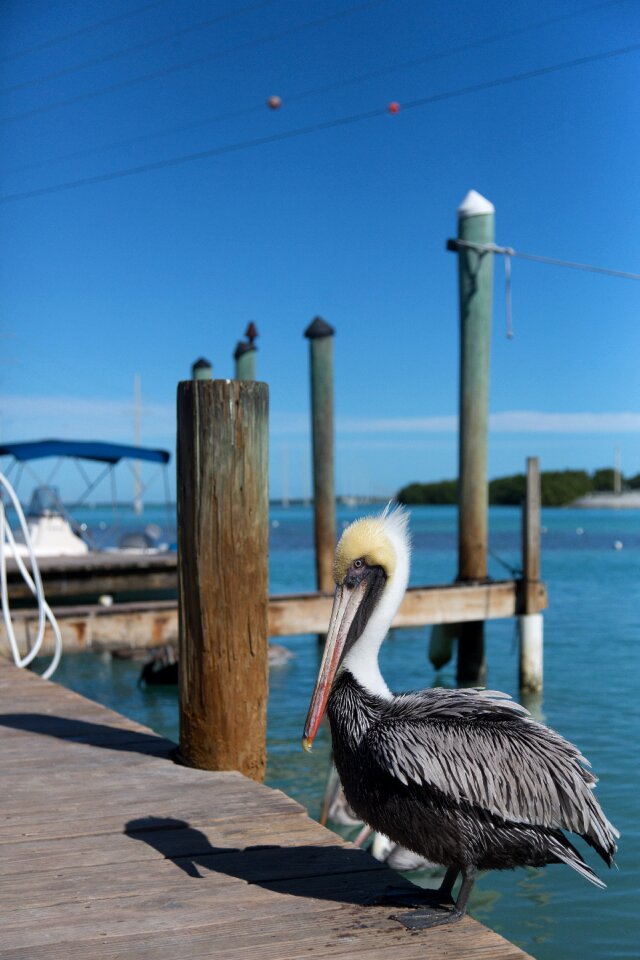 Sunny destinations travel