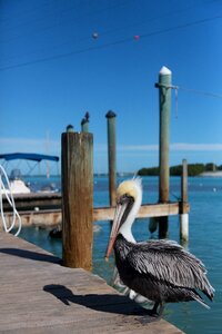 Sunny destinations travel