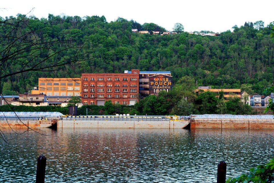 Trees wheeling west virginia
