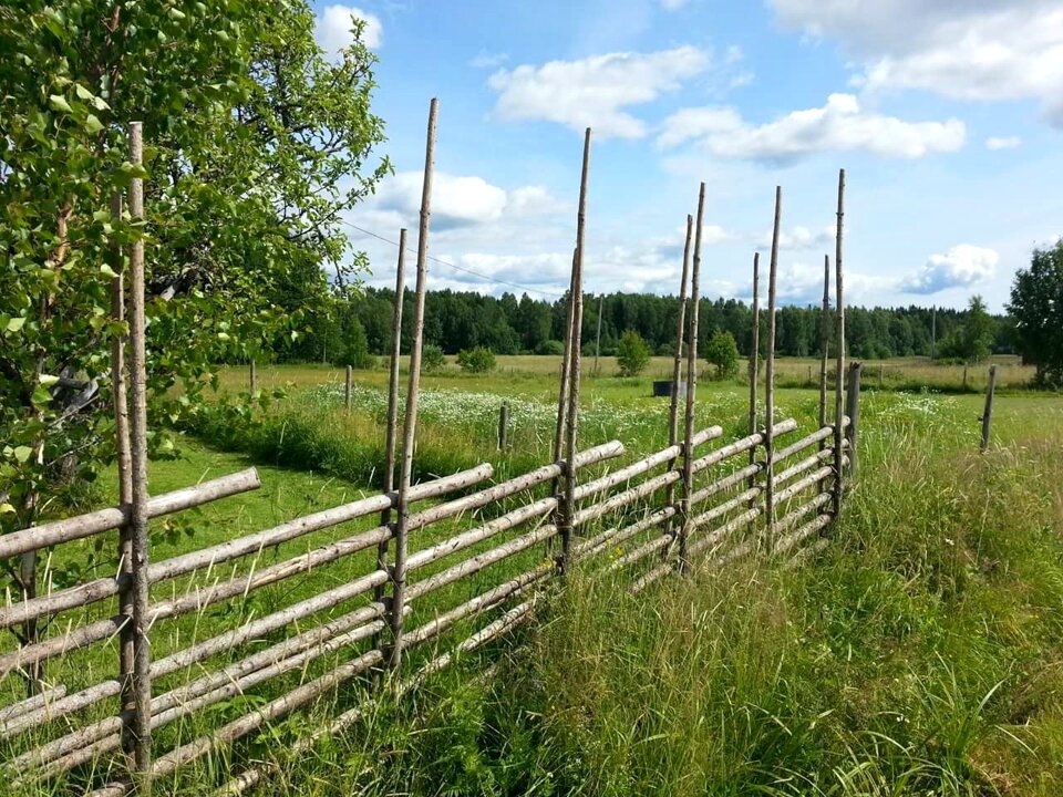 Northern rådom swedish summer bed
