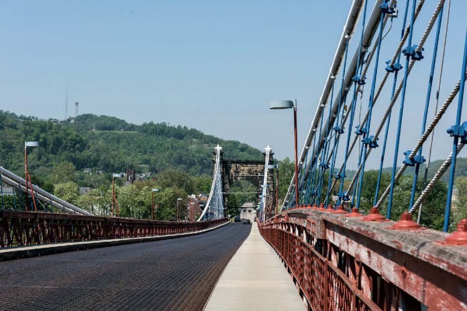 Trees suspension bridge architecture