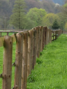 Wood fence limit paddock photo