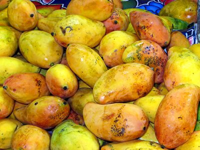 Fruit exotic yellow