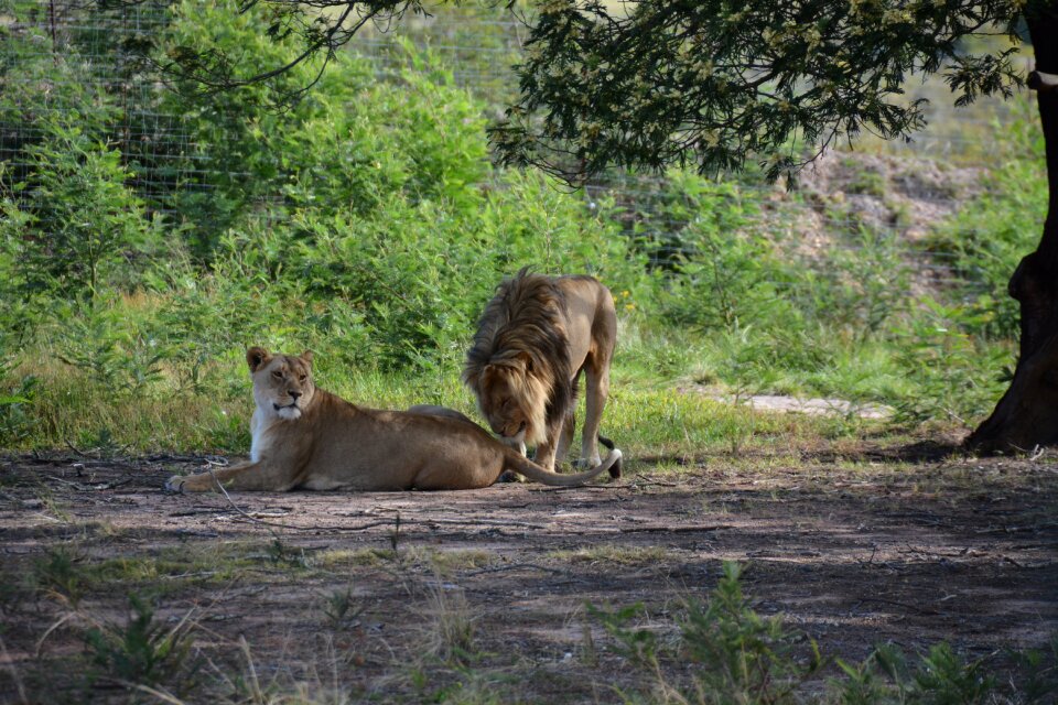 National park africa wild
