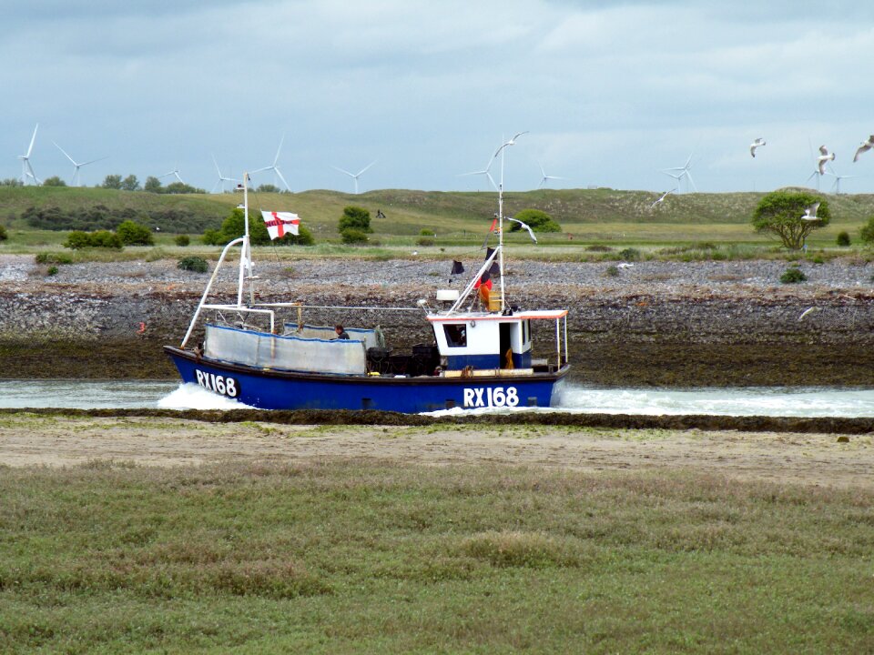 Seagulls marine vessel