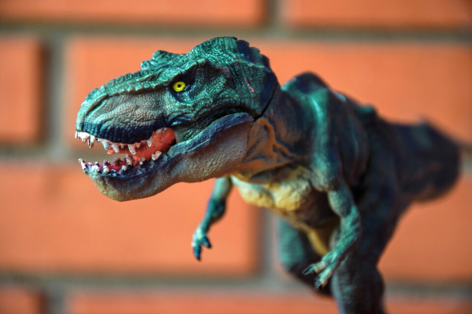 Dinosaur t-rex tyrannosaurus rex