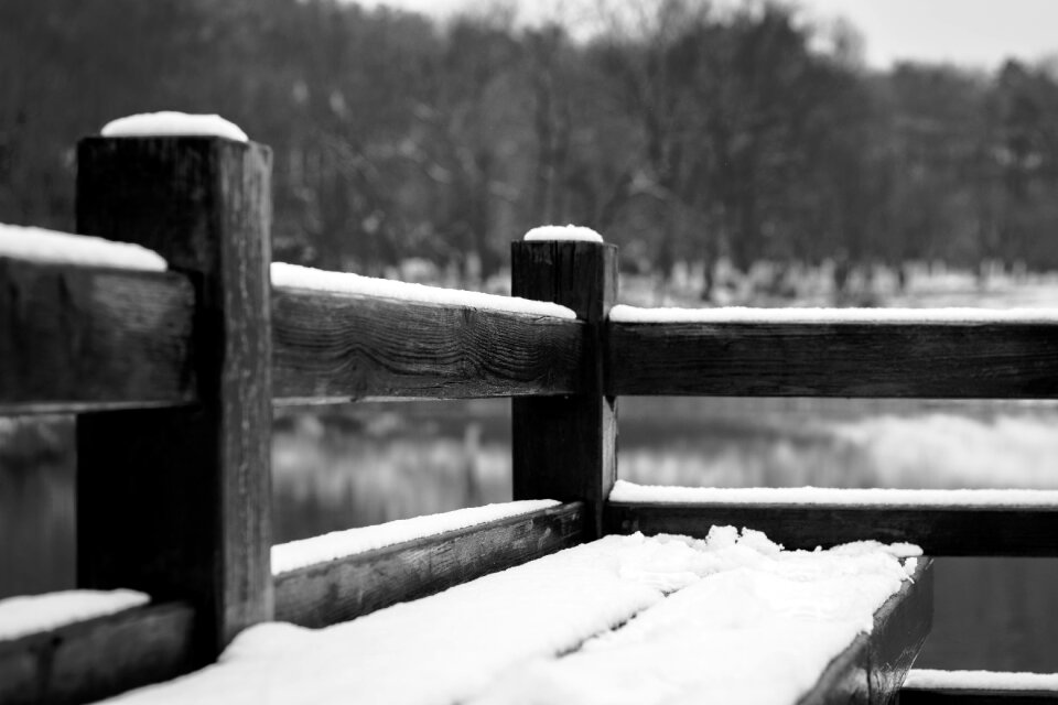 Bench park lakefront