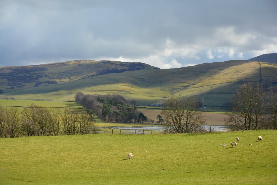 Scotland grass green