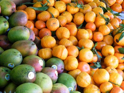 Orange san francisco market photo