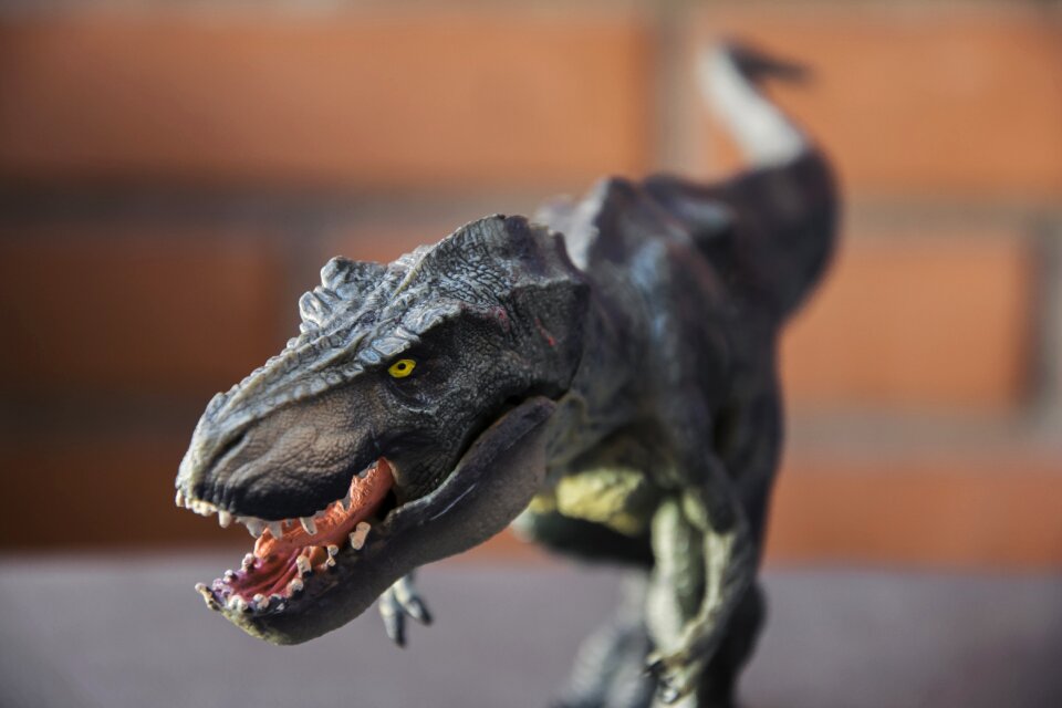Dinosaur t-rex tyrannosaurus rex