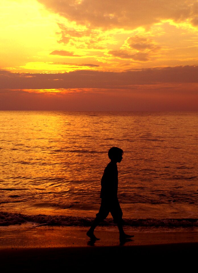 Sea beach silhouette