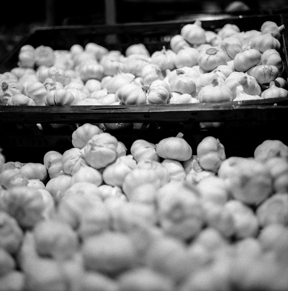 Organic fresh nutrition