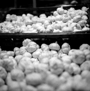 Organic fresh nutrition