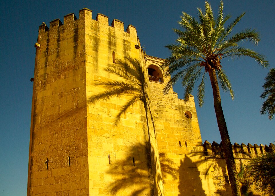 Tours ramparts palm trees
