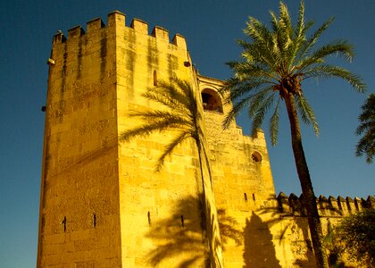 Tours ramparts palm trees