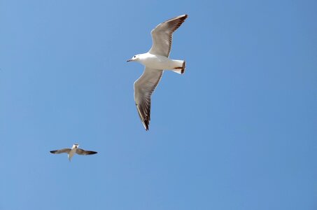 Sky kunming fly photo