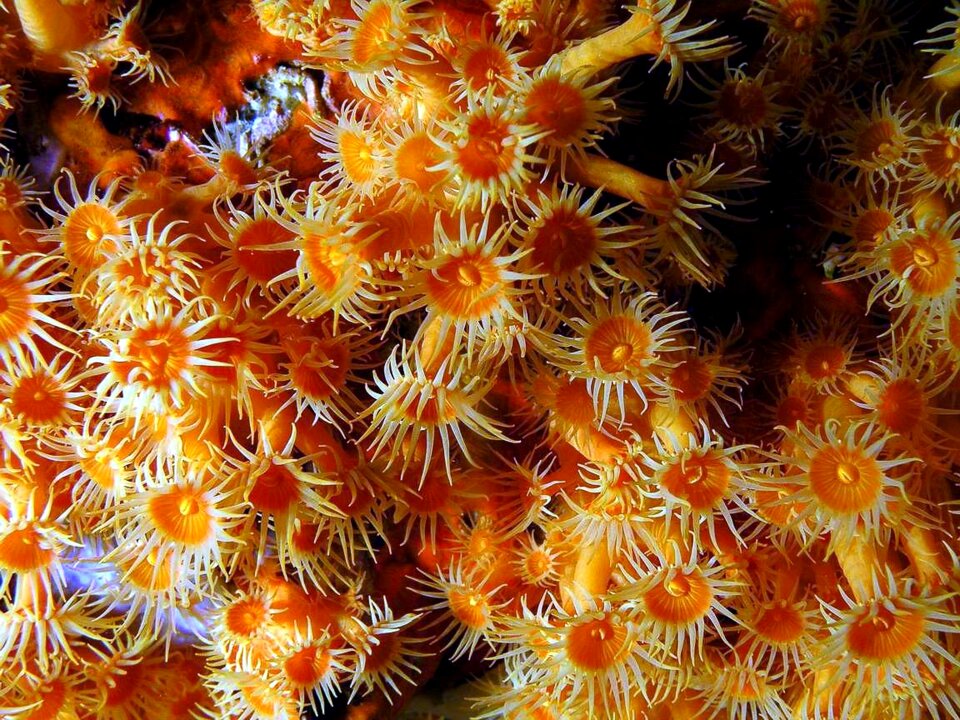 Mediterranean sea depth