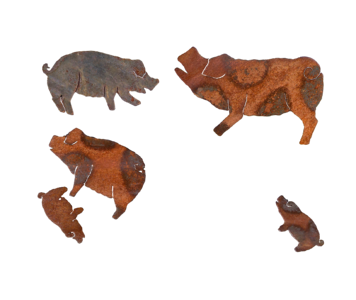 Rusty isolated rust