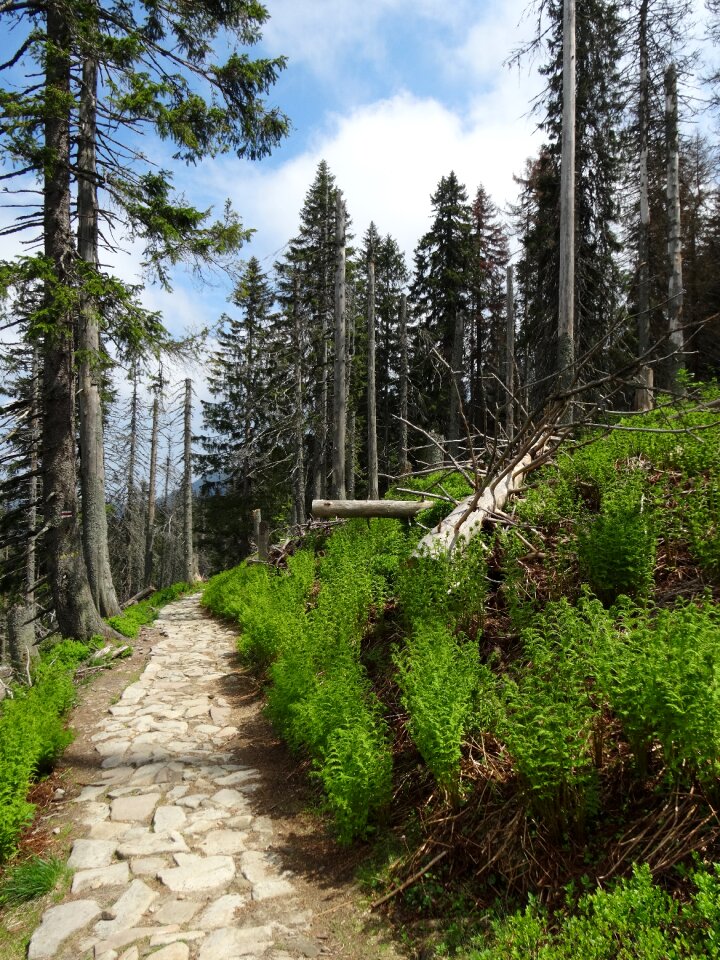 Landscape way tourism