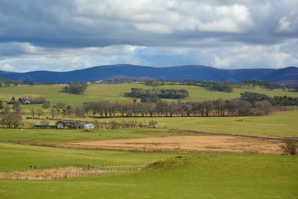 Scottish uk green photo