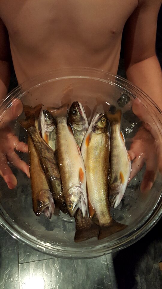 Outdoor catch summer