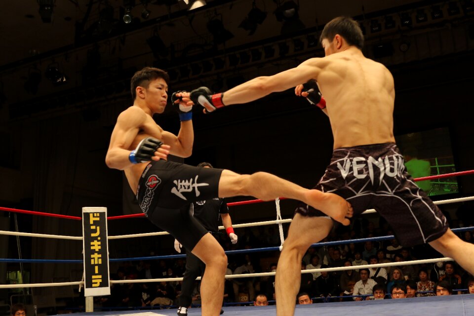 Maza maza fight shooto