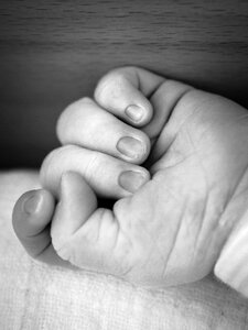 Infant birth child's hand photo