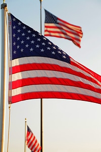American flags united states american flag photo