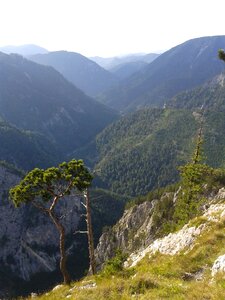 Lonely nature alpine photo