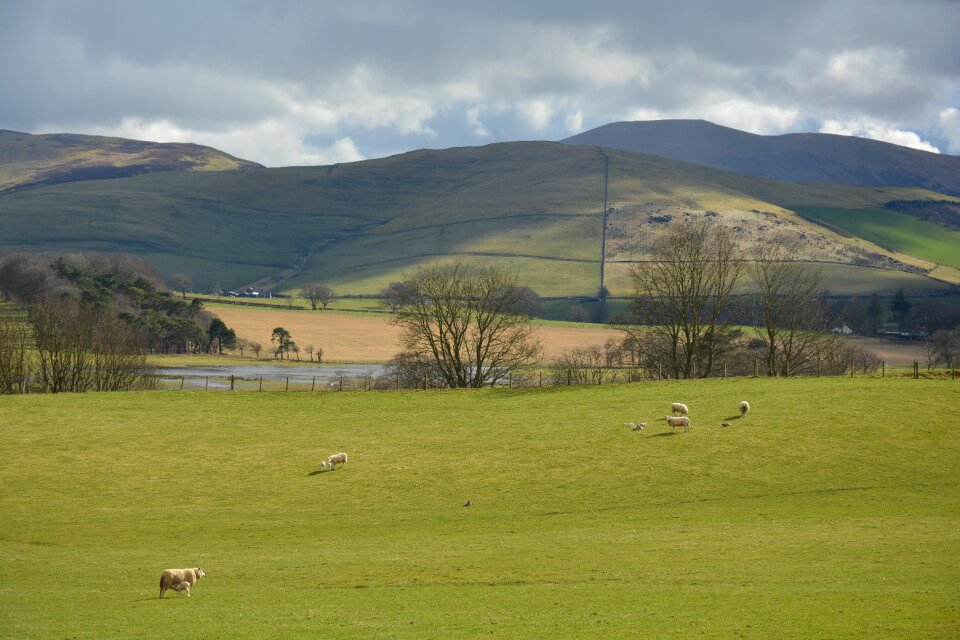 Scotland grass green
