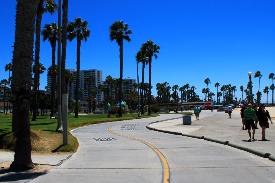 Cycle track palms beach
