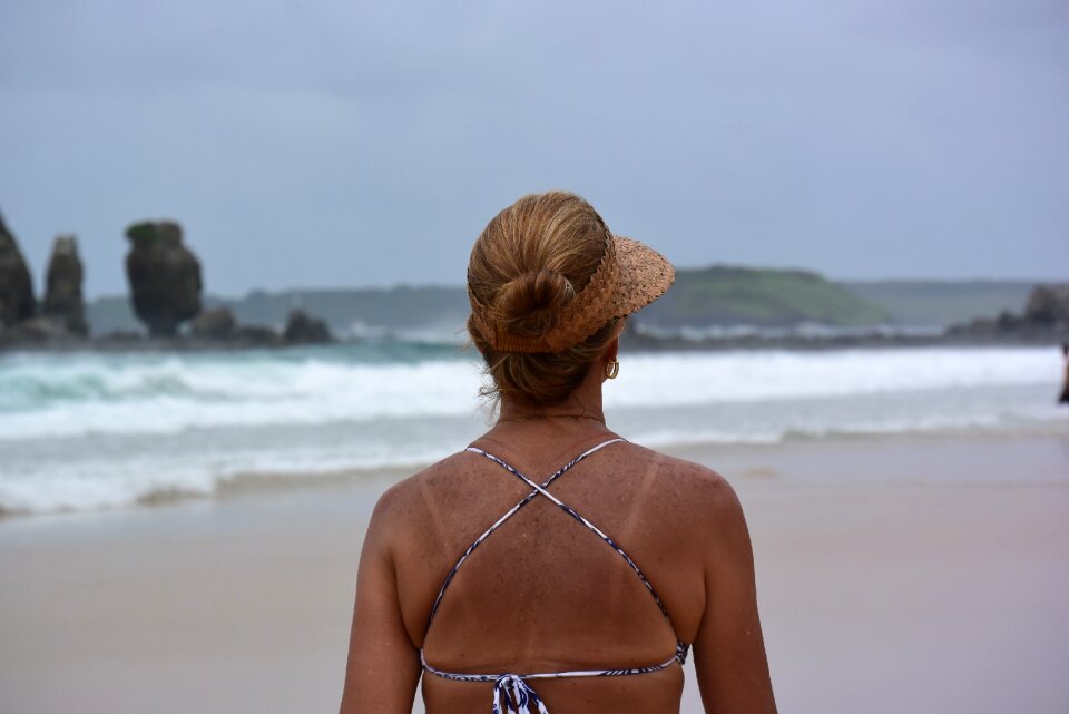 Island back view summer