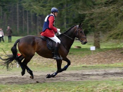 Hunting horses drag