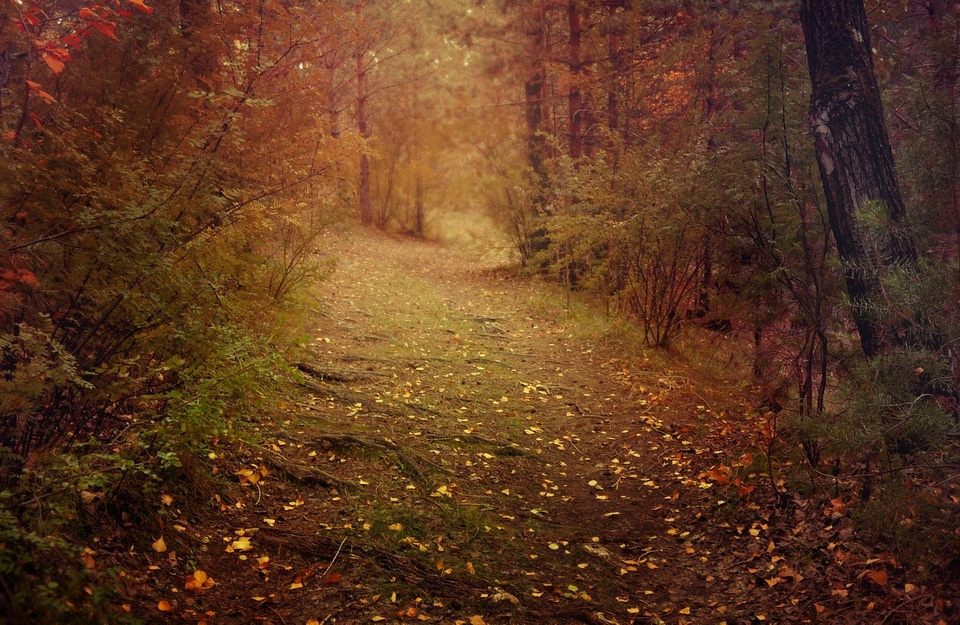 Autumn fairy tale evening