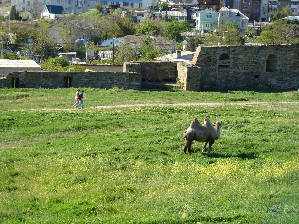 Crimea sudak and novy svet genoese fortress