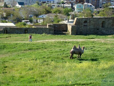 Crimea sudak and novy svet genoese fortress