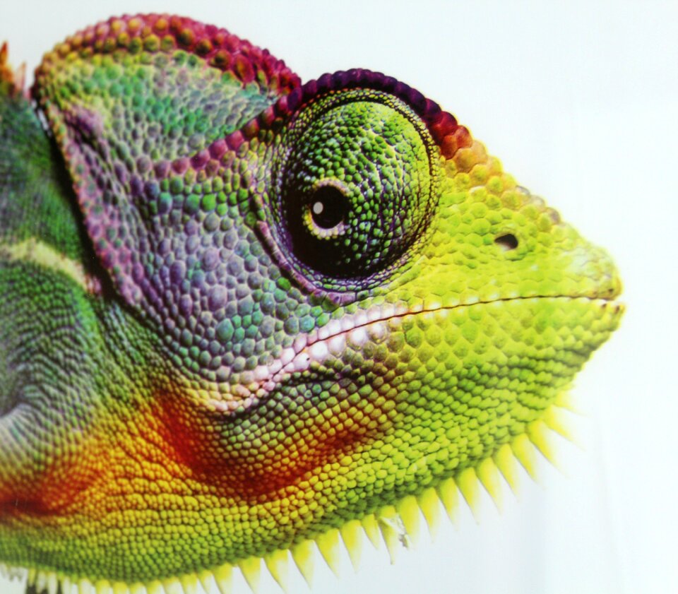Eye color camouflage