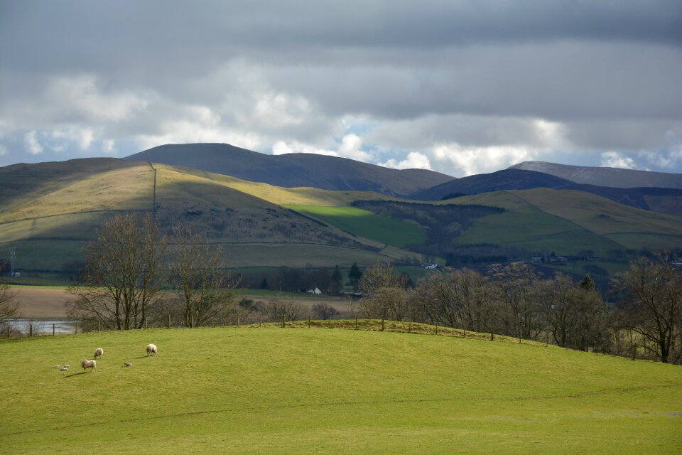 Scotland grass green