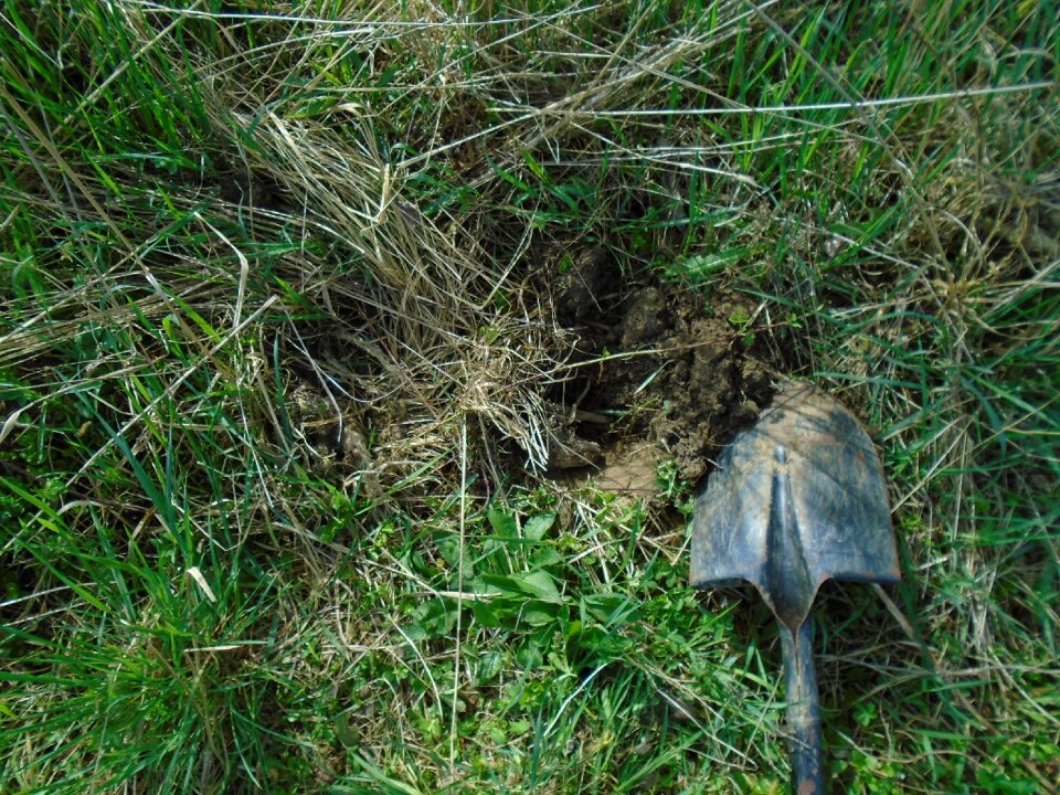Grass nature agriculture