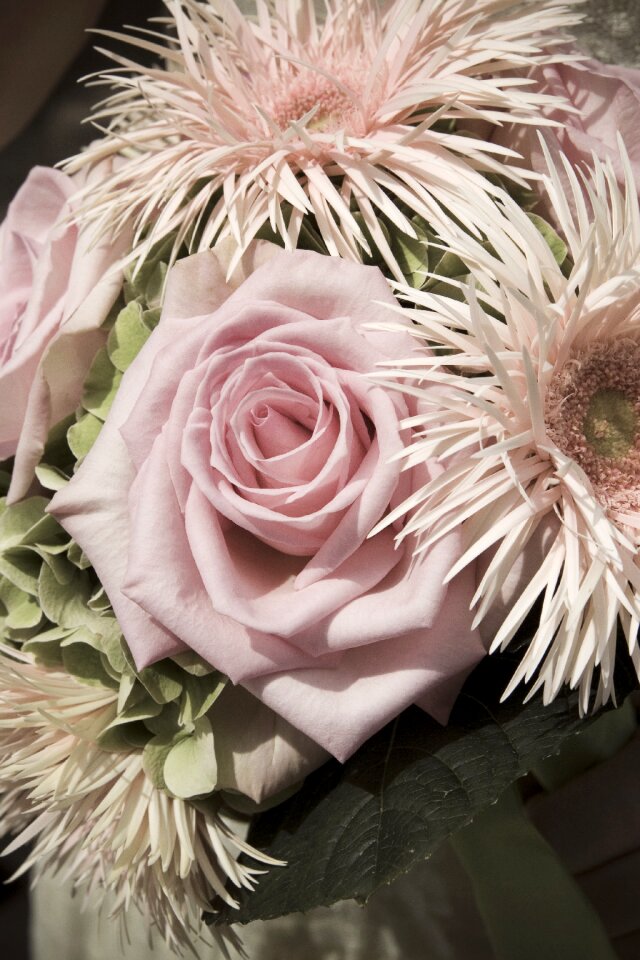 Bouquet of flowers flowers bouquet floral