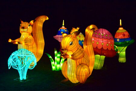 Lights colors squirrels