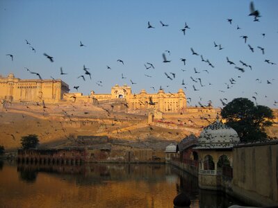 Rajasthan amer fort photo