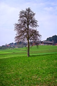 Landscape bavaria chiemgau