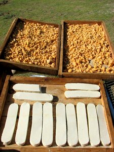 Step eating mongolia