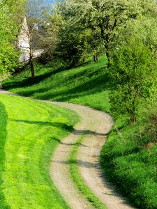 Landscape green spring photo