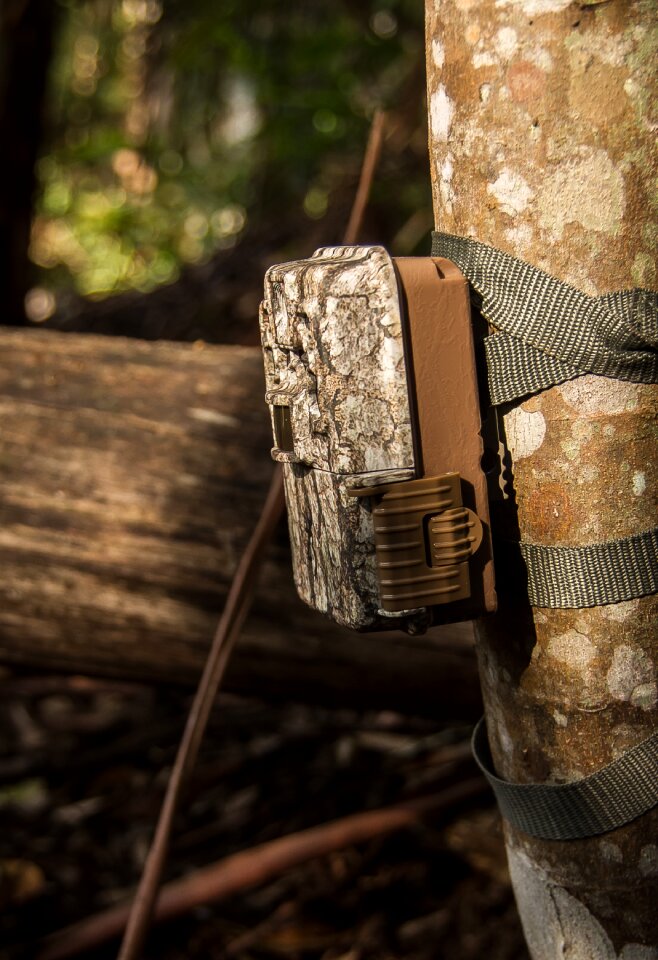 Motion detection automatic camouflage