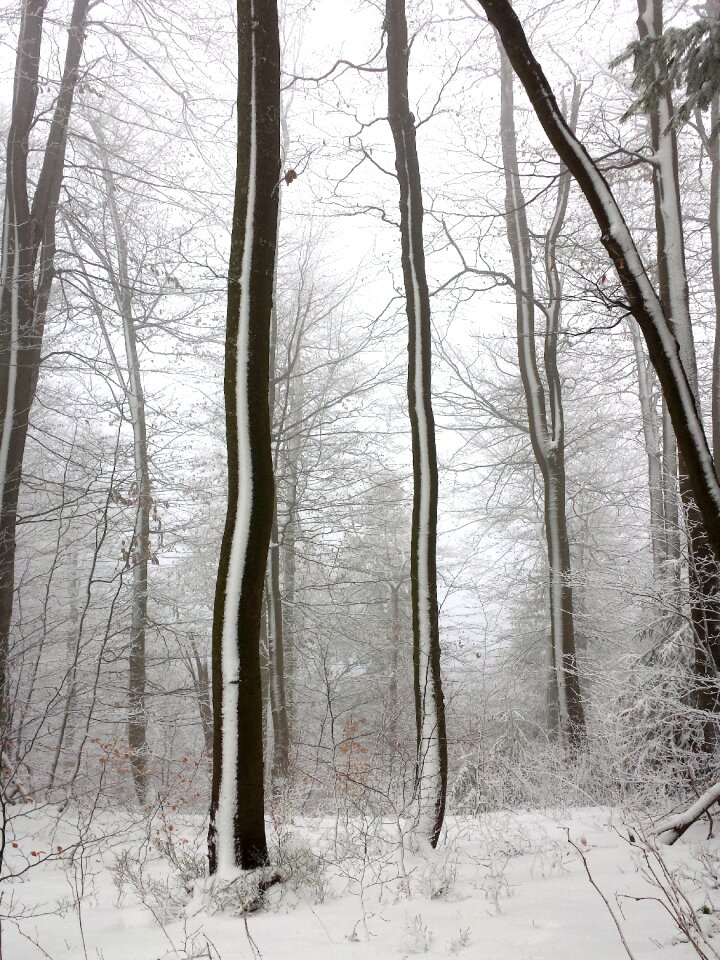 Mountains snow nature