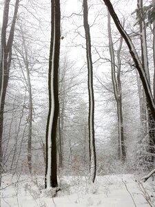 Mountains snow nature